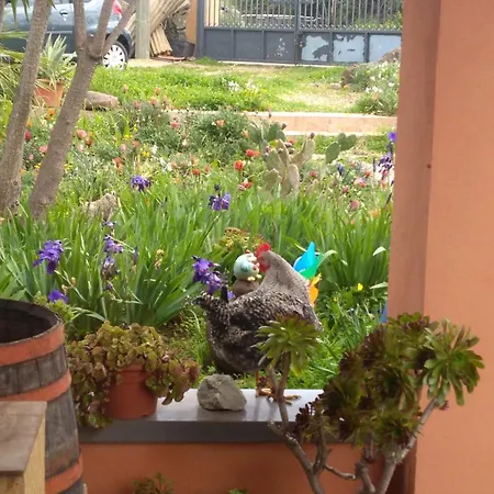 Anna Con Giardino Flussio