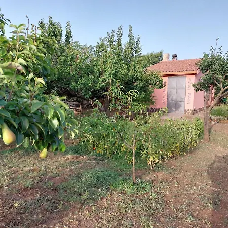 Anna Дом отдыха