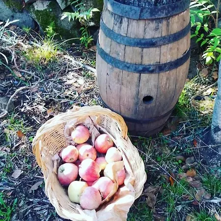 Casa de Férias Anna