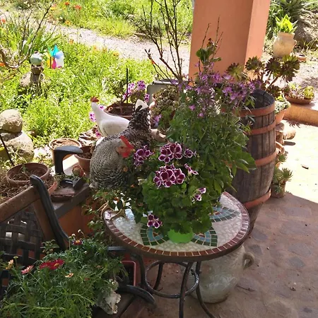 Anna Дом отдыха Flussio